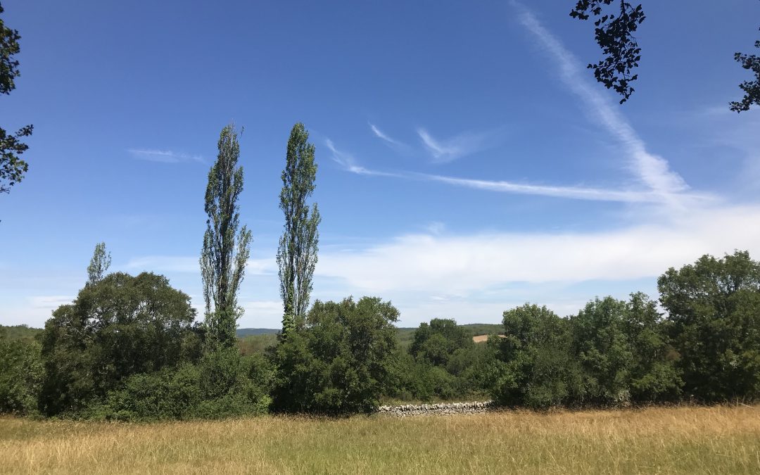 La Vie en France