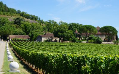 Wijn op de bonnefooi